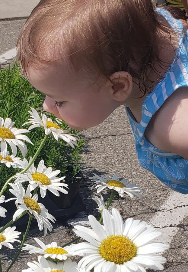 Ava Smelling Flowers
